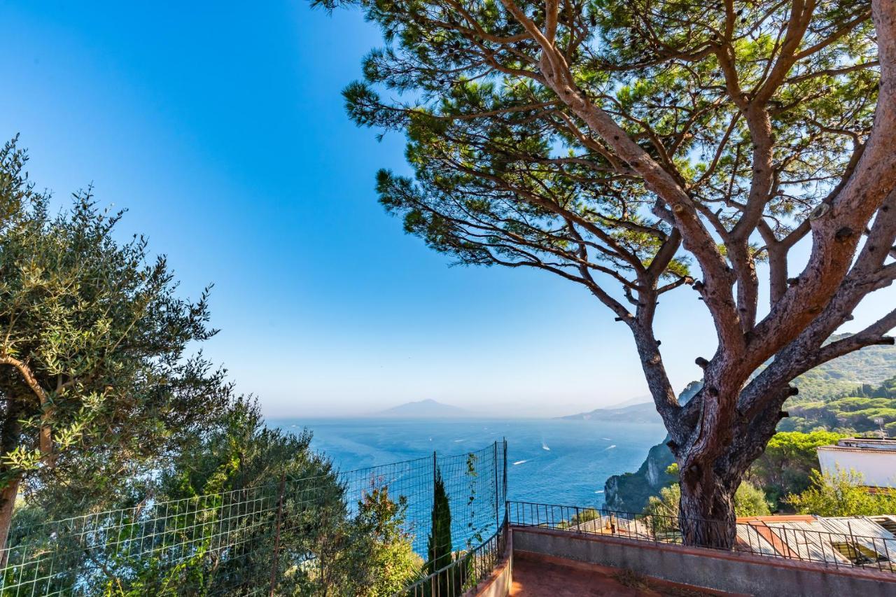 Capri Turquoise By Napoliapartments Εξωτερικό φωτογραφία